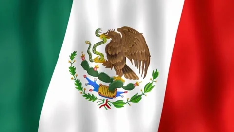Mexican flag waving in the wind Video stock 334572332