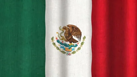 Mexican flag waving in the wind Stock Footage 340180127