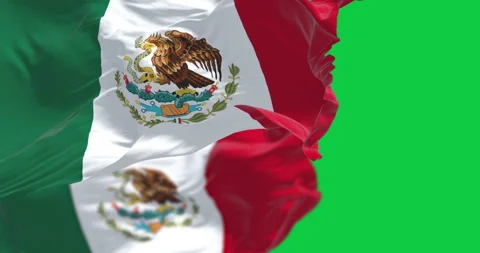 Mexican flags with its coat of arms waving isolated on green background Stock Footage 330953219