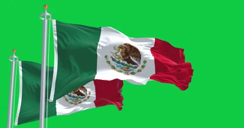 Mexican flags waving isolated on green background Stock Footage 318294374