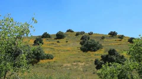 Mexican Hill Stock Footage 11133543