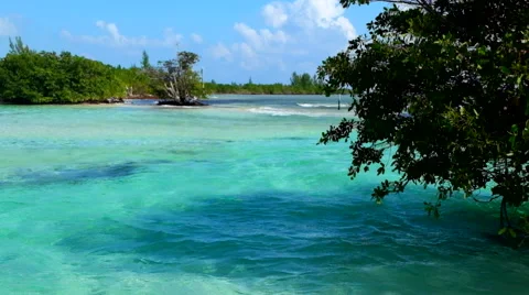 Mexican Lagoon Stock Footage 45879099