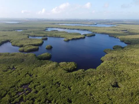 Mexican Marshes Stock Photos