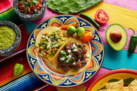 Mexican platillo tacos barbacoa and vegetarian Stock Photos