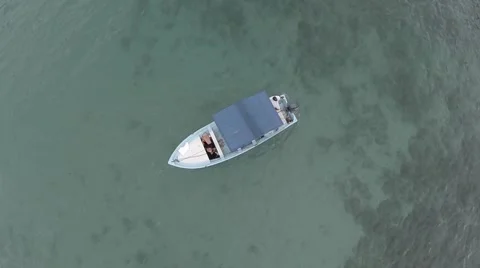 Mexican Ponga Stock Footage 44189665