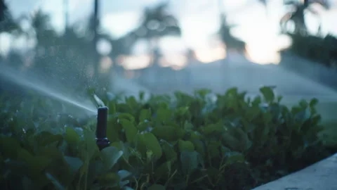 Mexican Resort Sprinklers Stock Footage 196114579