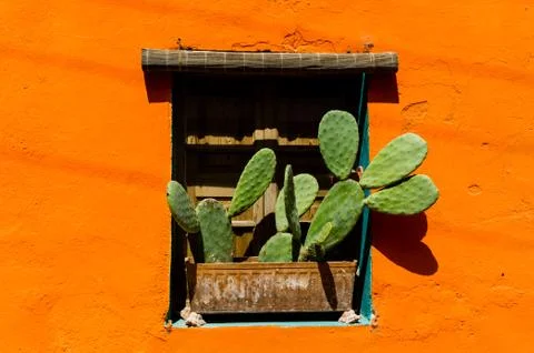 Mexican style window 写真素材