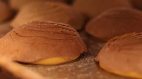 Mexican sweet bread shell - Concha 02 Stock Footage 130084658