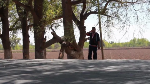 Mexican Walking Stock Footage 38349694