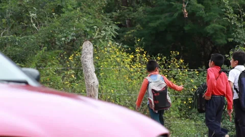 Mexican Walking Stock Footage 38353366