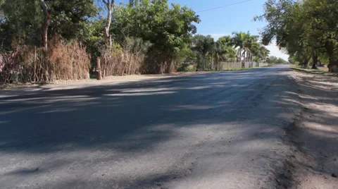 Mexican Walking Stock Footage 38354334