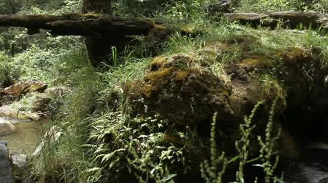 Mexican Waterfall Stock Footage 12472501