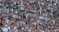 Mexican Wave Packed Stadium Arena Successive Groups Spectators Stand Raise Arms HD Footage