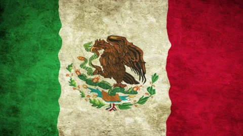 Mexican waving flag Stock Footage 33707603
