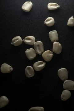 Mexican White Corn macro close up, Stock Photos