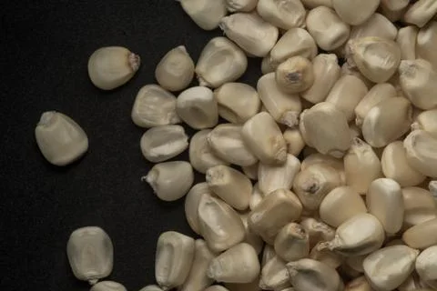 Mexican White Corn macro close up, Stock Photos