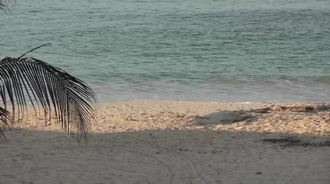 MEXICO-022 BEACH PANORAMA Stock Footage 10607434