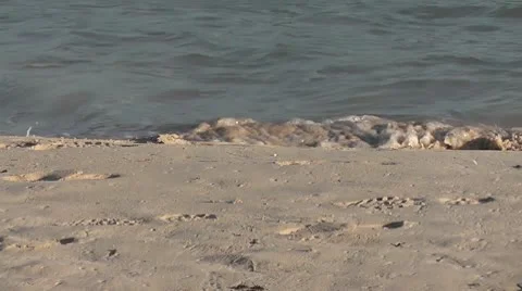 MEXICO-030 OCEAN WAVES Stock Footage 10607513