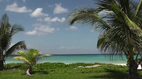 MEXICO-082  CARIBBEAN SCENIC Stock Footage 10607957