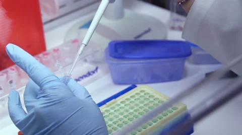 Mexico, 2014: CLOSE UP-HANDHELD SHOT. Laboratory worker clean test tubes. Stock Footage 44993681