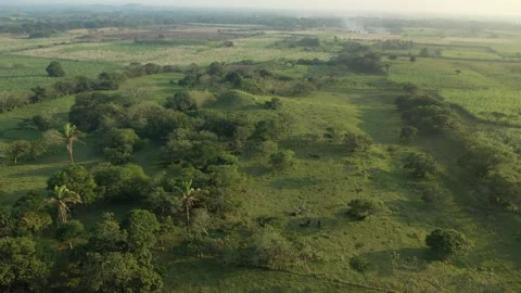 Mexico Ancient Pyramids, Drone Clip, Olmec Site of Tres Zapotes, Veracruz 4K Stock Footage 296347340