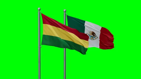 Mexico and Bolivia two flags Stock Footage 293203945