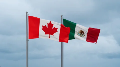 Mexico and Canada flag Stock Footage 252024810