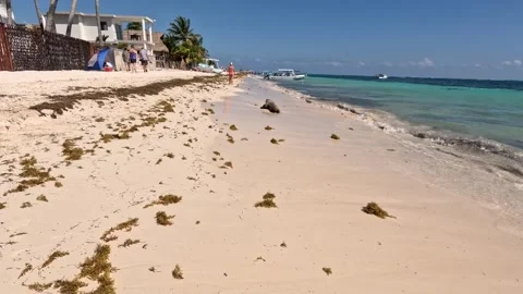 Mexico beach Stock Footage 308486177