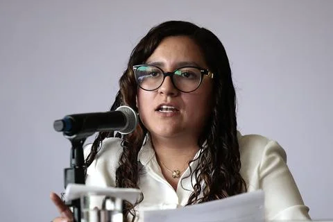 Mexico boasts a 91 percent decrease in migration at the US border, Mexico City - 库存照片