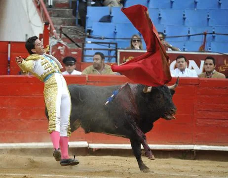 Mexico Bullfighting - Jan 2012 Stock Photos