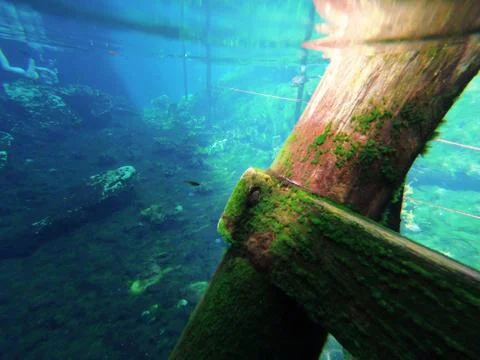 Mexico cenotes deep view Stock Photos