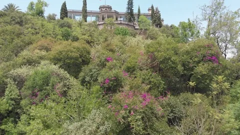 Mexico City Bosque de Chapultepec Aerial Footage Stock Footage 90440931