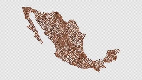 Mexico Coffee Beans Stock Footage 152674566