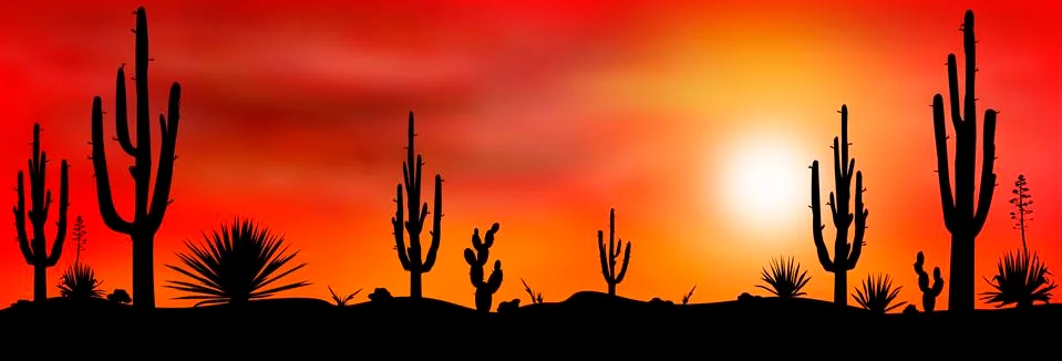 Mexico desert sunset Stock Illustration