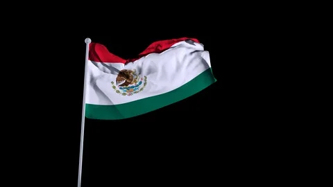 Mexico Flag. 4K. Looped Stock Footage 88434846