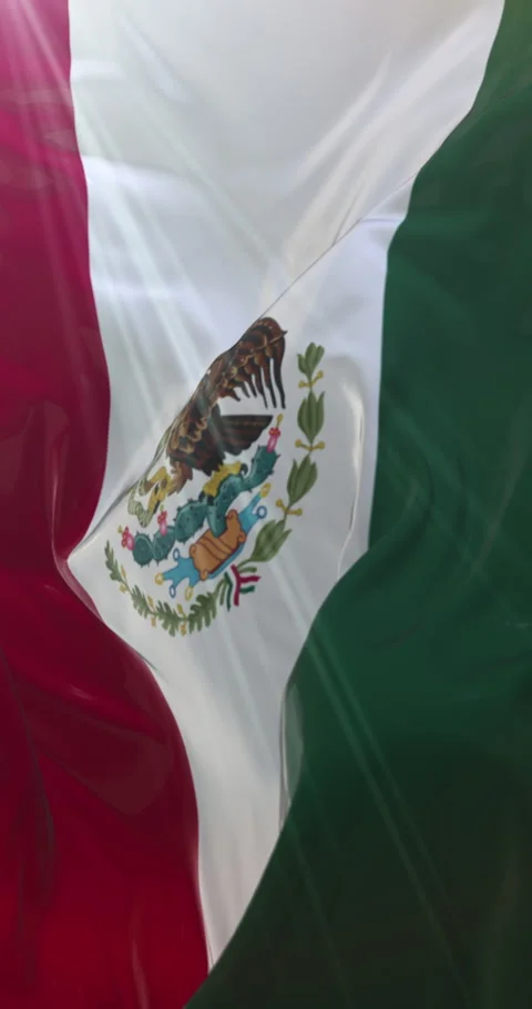 Mexico flag. 4K Vertical. Loop Stock Footage 301954992