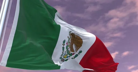 Mexico Flag Animation Minimal Corporate Video Stock Footage 343577478