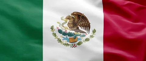 Mexico Flag Animation – Seamless Loop (4K UHD) Stock Footage 318713583