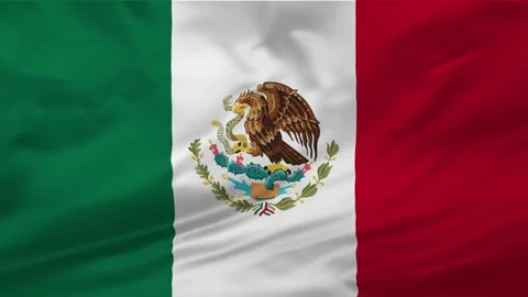 Mexico flag background Stock Footage 263943133