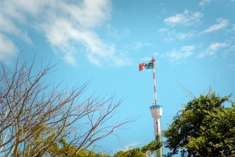 Mexico flag on flagpole waving in the wind, view from behind trees. Stock Photos