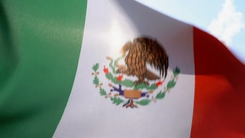 Mexico Flag Flapping Stock Footage 118963940