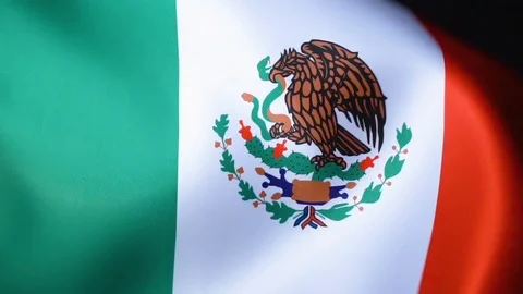 Mexico Flag Flapping Stock Footage 118972589