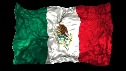Mexico flag Stock Footage 110823577