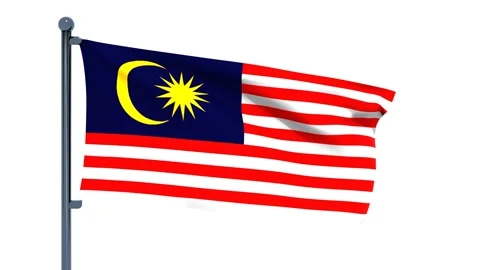 Mexico Flag Video stock 150202375