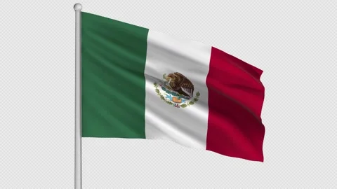 Mexico Flag Stock Footage 208957137