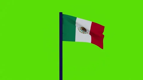 Mexico flag 스톡 동영상 256225911