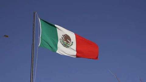 Mexico-Flag Stock Footage 282106409