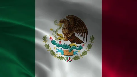 Mexico Flag Stock Footage 336903896
