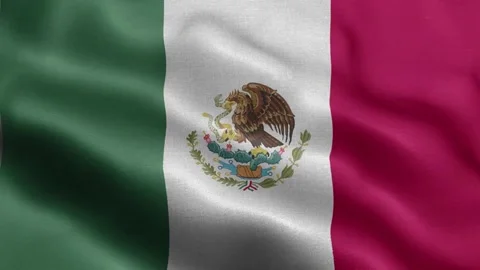 Mexico flag Front Stock Footage 318677532