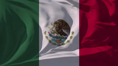 Mexico Flag Loop Stock Footage 295730463